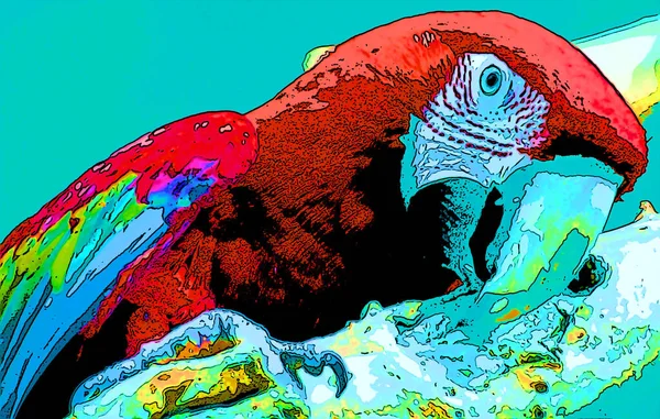 Scarlet Macaw Ara Macao Tecken Illustration Pop Art Bakgrund Ikon — Stockfoto