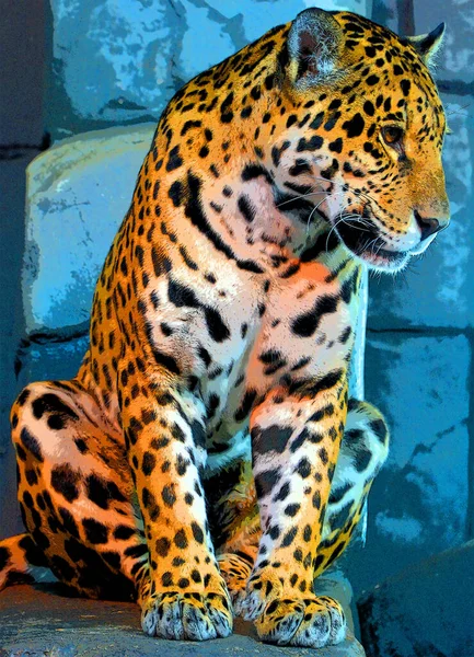 Ícone Jaguar Arte Pop Com Manchas Cor — Fotografia de Stock