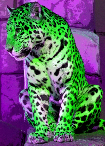 Renkli Pop Art Jaguar Simgesi — Stok fotoğraf