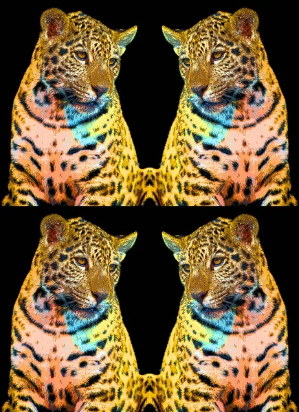 Pop Art Icône Jaguar Avec Des Taches Couleur — Photo