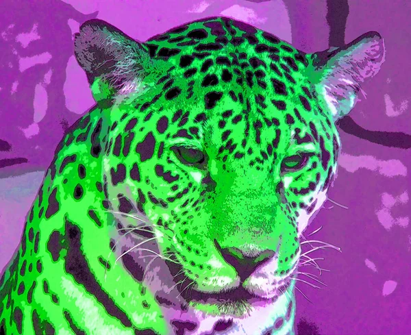 Pop art jaguar icon with color spots.