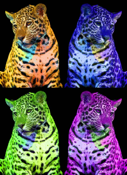 Pop Art Icono Jaguar Con Manchas Color — Foto de Stock