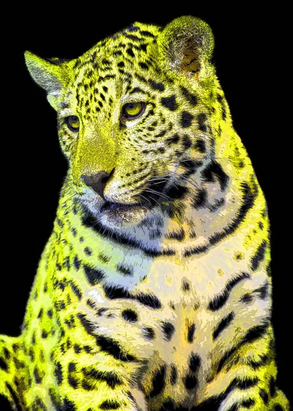 Иконка Ягуара Цветовыми Пятнами — стоковое фото
