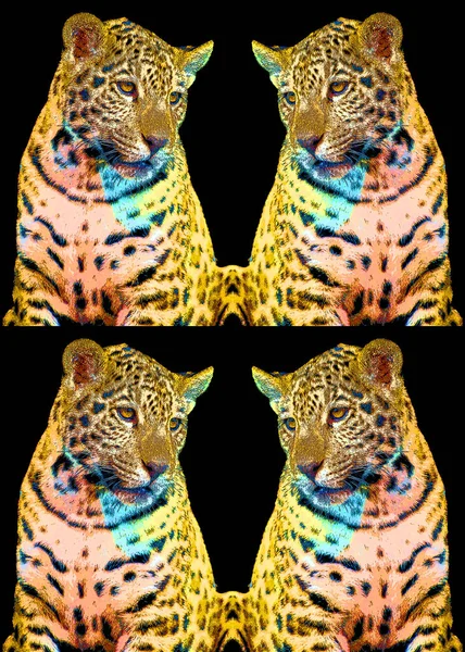 Renkli Pop Art Jaguar Simgesi — Stok fotoğraf