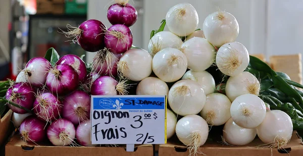 Cebollas Frescas Mercado —  Fotos de Stock