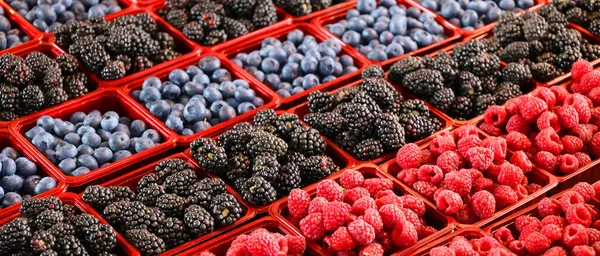 Frutas Frescas Mercado Agrícola Varias Frutas Frescas Colores Puesto —  Fotos de Stock