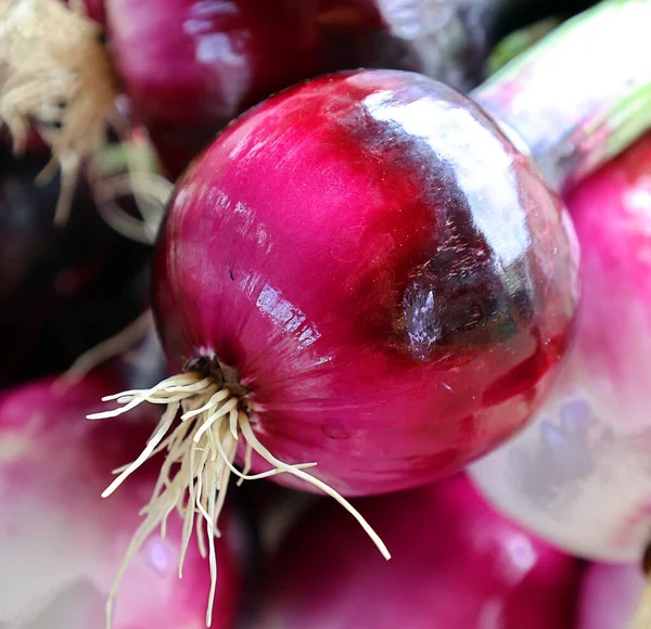 Red onions or purple onions are cultivars of the onion (Allium cepa), and have purplish-red skin and white flesh tinged