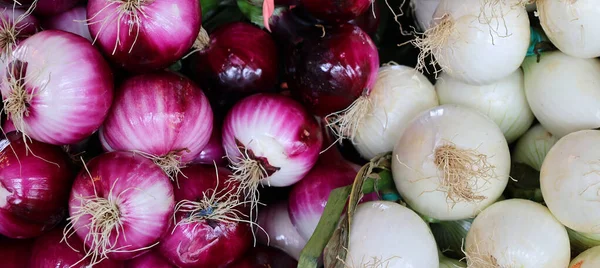 Red Onions Cultivars Onion Purplish Red Skin White Flesh Tinged — стоковое фото