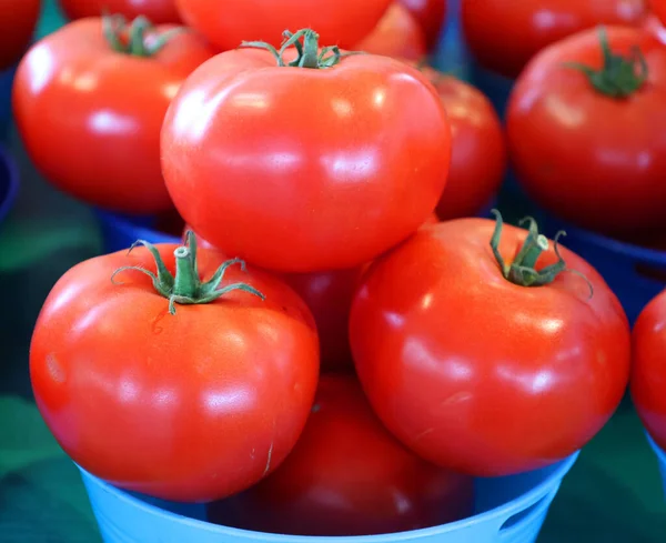 Κόκκινες Ντομάτες Καλάθι — Φωτογραφία Αρχείου