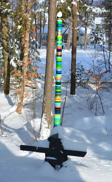 Paisaje Invernal Con Árboles Cubiertos Nieve — Foto de Stock