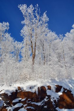 Doğu kasabası Quebec, Kanada 'daki kar fırtınasından sonra kış manzarası