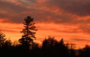 Günbatımı sonbahar manzaralı doğu kasabaları, Bromont, Quebec vilayeti, Kanada