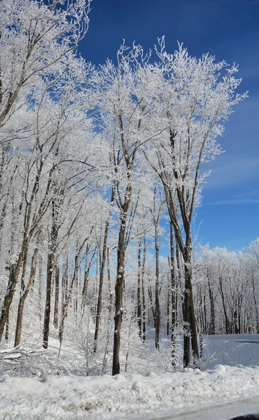 Winter Landscape Snow Storm Eastern Township Quebec Canada — Foto de Stock
