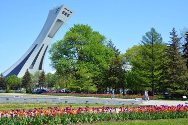 MONTREAL QUEBEC CANADA 05 10 2022: The Montreal Olympic Stadium and tower. It's the tallest inclined tower in the world.Tour Olympique stands 175 meters tall and at a 45-degree angle 