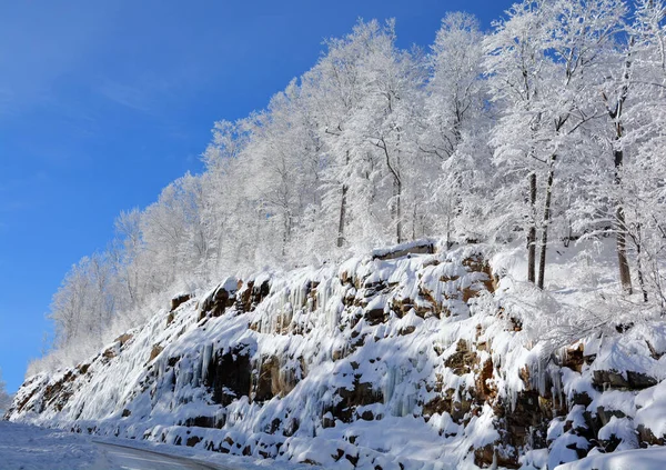 Winterlandschap Een Sneeuwstorm Oostelijk Dorp Quebec Canada — Stockfoto