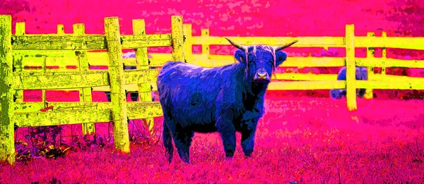 Highland bull are a Scottish breed of cattle with long horns and long wavy coats sign illustration background icon with color spots