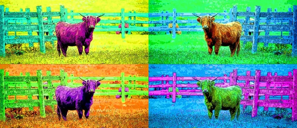 Highland bull are a Scottish breed of cattle with long horns and long wavy coats sign illustration background icon with color spots