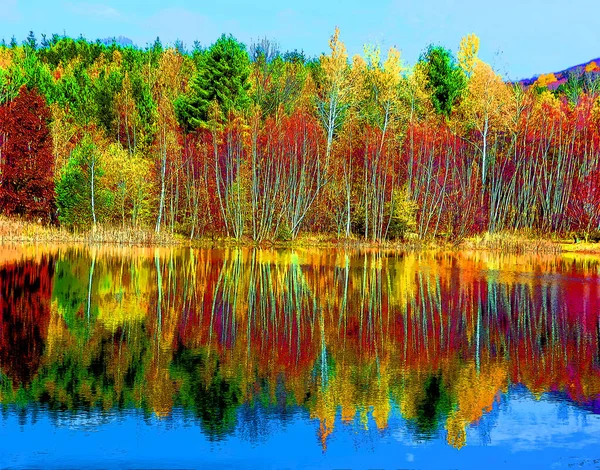 Fall Landscape Sign Illustration Pop Art Background Icon Color Spots — Stock Photo, Image