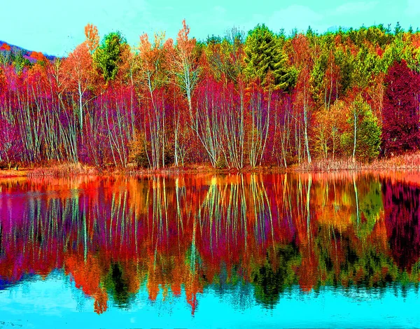 秋の風景サインイラストカラースポットとポップアートの背景アイコン — ストック写真