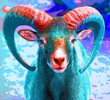 Avrupa erkek mouflon, Mouflon 'un en batı ve en küçük alt türüdür. Başlangıçta sadece Akdeniz 'deki Korsika ve Sardunya adalarında bulunmuştur.