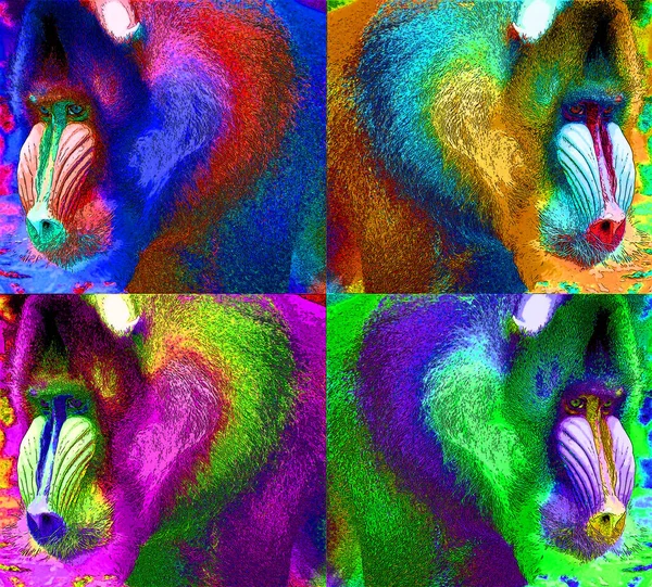 Mandrill Mandrillus Sphinx Primate Del Icono Fondo Pop Art Ilustración —  Fotos de Stock