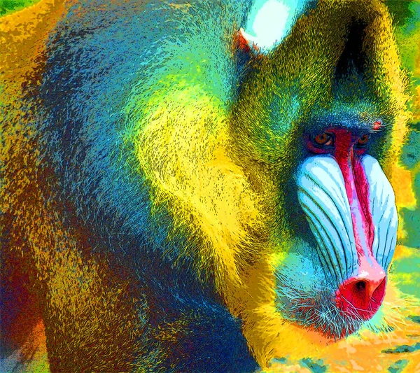 狮身人面像 Mandrillus Sphinx 是东半球带有彩色斑点的流行艺术背景图标标志的灵长类动物 — 图库照片