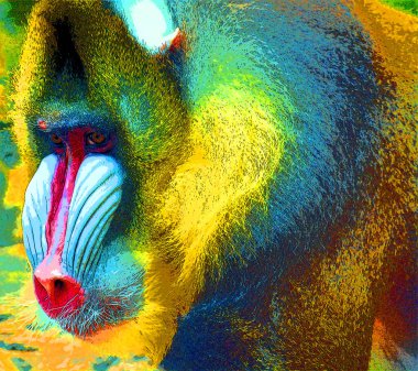 Mandrill (Mandrillus sfenks), Eski Dünya işaret simgesi pop-art arkaplan simgesinin renkli bir primatıdır.