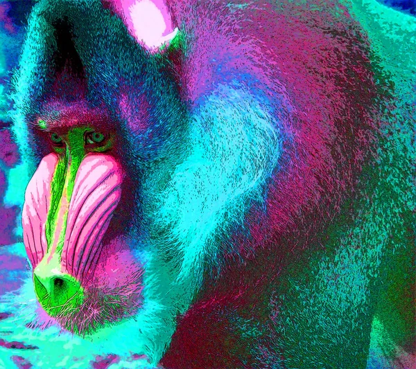 Mandrillo Mandrillus Shinx Primate Del Vecchio Mondo Segno Illustrazione Pop — Foto Stock