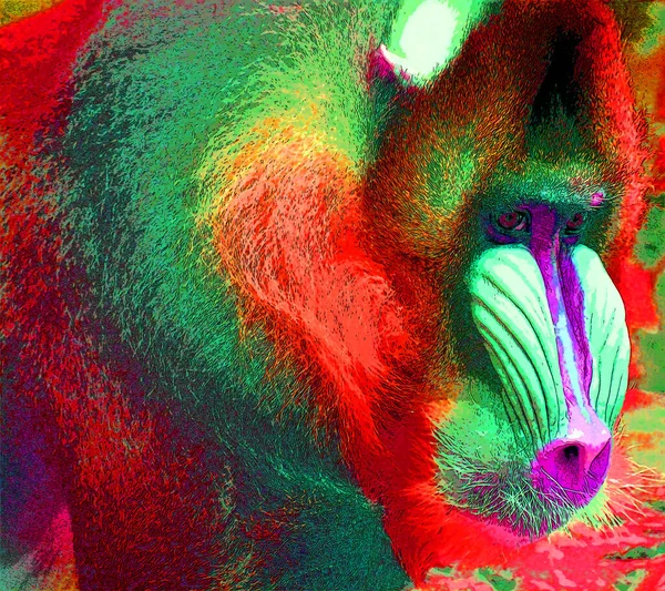 Mandril Mandrillus Sphinx Primata Ícone Fundo Pop Art Ilustração Sinal — Fotografia de Stock