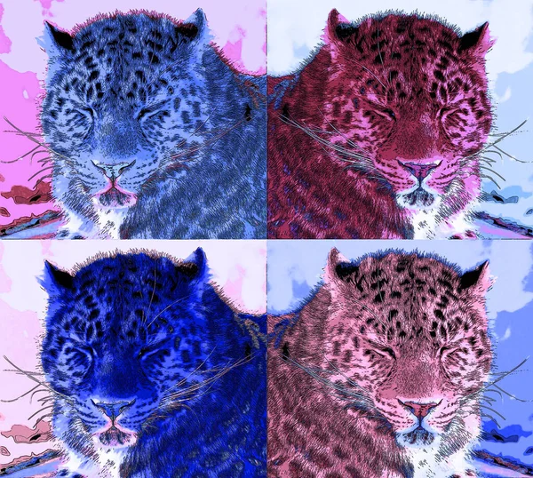 Leopardo Amur Una Subespecie Leopardo Nativa Región Primorye Sureste Rusia —  Fotos de Stock