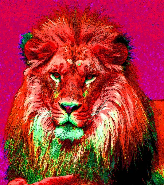 Lion Σημάδι Εικονογράφηση Pop Art Εικονίδιο Φόντου Κηλίδες Χρώματος — Φωτογραφία Αρχείου