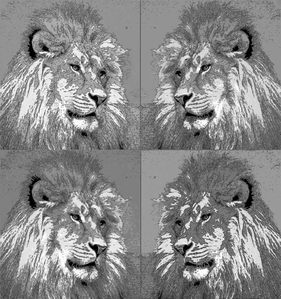 Lion sign illustration pop-art background icon with color spots