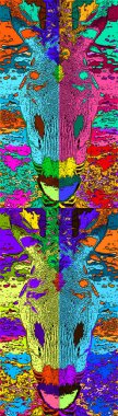Zebroid, bir zebra ve diğer herhangi bir at arasındaki herhangi bir çapraz çapraz döllenmenin ürünüdür. Renk lekeli pop-art arkaplan simgesi yaratmak için. 