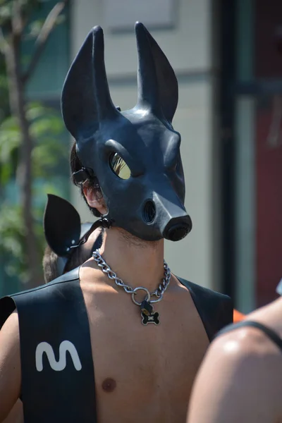 Montreal August 2015 Participant Puppy Boy Community Day Montreal Pride — 스톡 사진