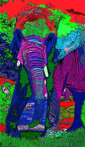 Pop Art Elefantensymbol Mit Farbflecken — Stockfoto