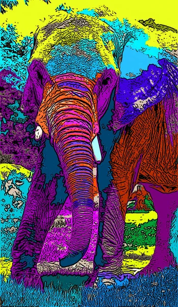 ポップアート象のアイコンとカラースポット — ストック写真