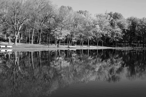 Beautiful Lake Park Autumn — 스톡 사진