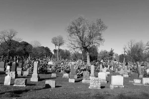 加拿大蒙特利尔 2015 坟墓在巴黎圣母院 圣母院 Des 就公墓与多彩秋天的树木 是最大的墓地 在加拿大和北美第三大 — 图库照片