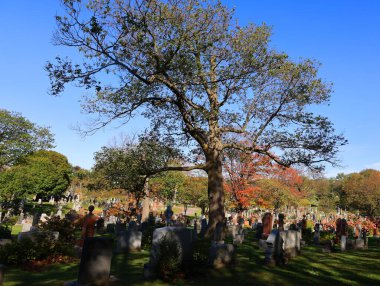 Montreal Kanada Ekim 11 2015: Graves renkli sonbahar ağaçları ile Notre-Dame-des-Neiges mezarlığı. Kanada en büyük mezarlığı ve üçüncü büyük Kuzey Amerika'da