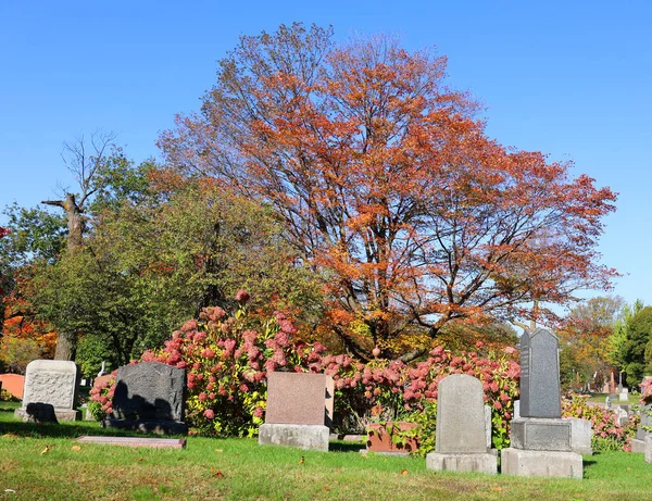 Montreal Canada Outubro 2015 Túmulos Cemitério Notre Dame Des Neiges — Fotografia de Stock