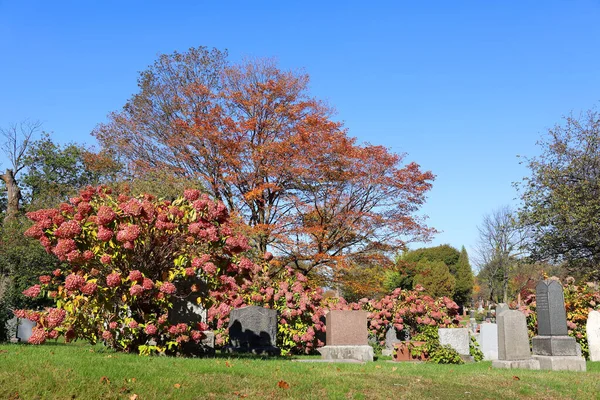 Montreal Canada Octubre 2015 Tumbas Cementerio Notre Dame Des Neiges —  Fotos de Stock