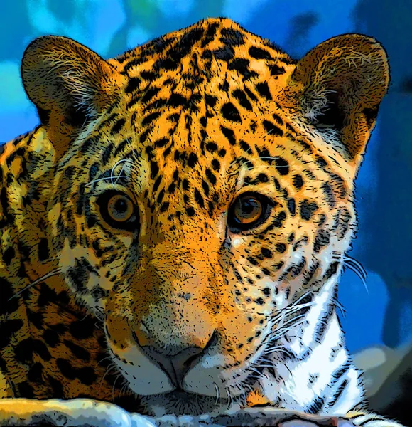Jaguar Sinal Ilustração Pop Art Ícone Fundo Com Manchas Cor — Fotografia de Stock