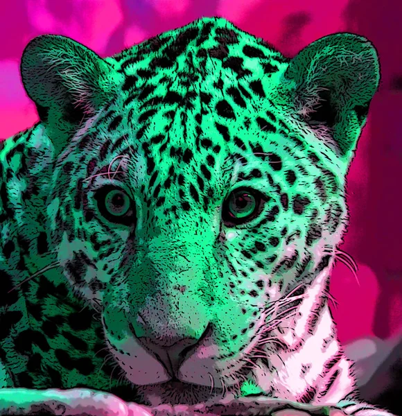 Jaguar Sinal Ilustração Pop Art Ícone Fundo Com Manchas Cor — Fotografia de Stock