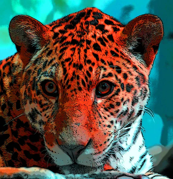 Jaguar Tecken Illustration Pop Art Bakgrund Ikon Med Färgfläckar — Stockfoto