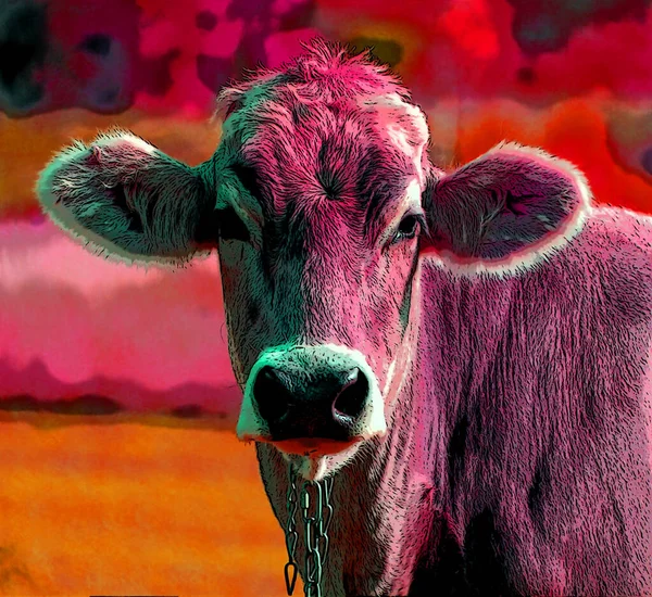 Pop art cattle icon with color spots