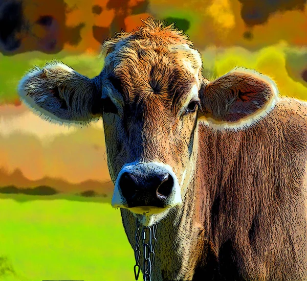 Portrait Cute Calf Pop Art Background Icon Vivid Color Spots — ストック写真