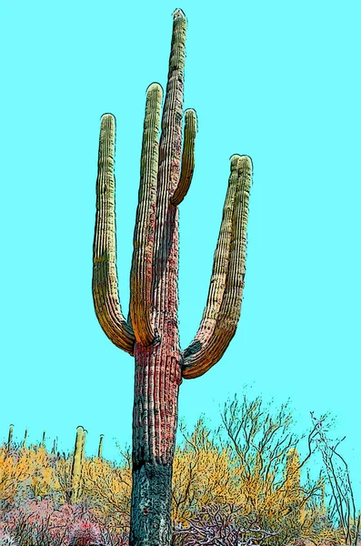 Beautiful Cactus Plant Illustration Pop Art Background — Stock Photo, Image