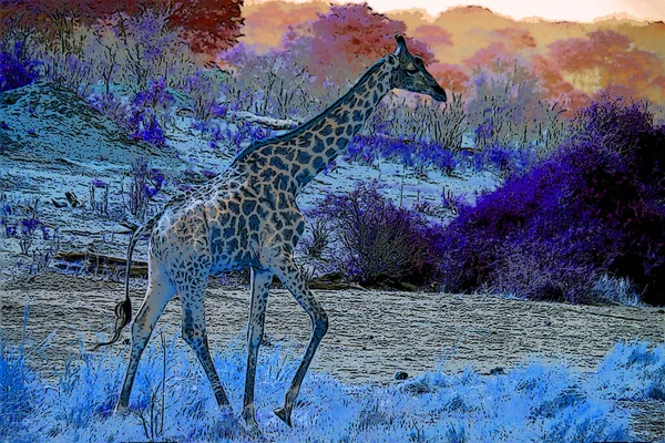 Giraffe illustration pop-art background