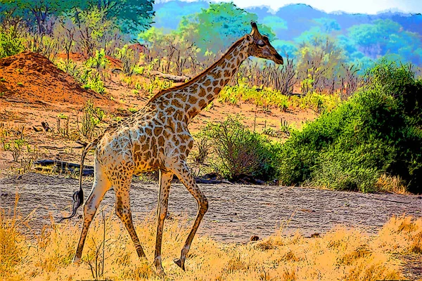 Giraffe Illustratie Pop Art Achtergrond — Stockfoto