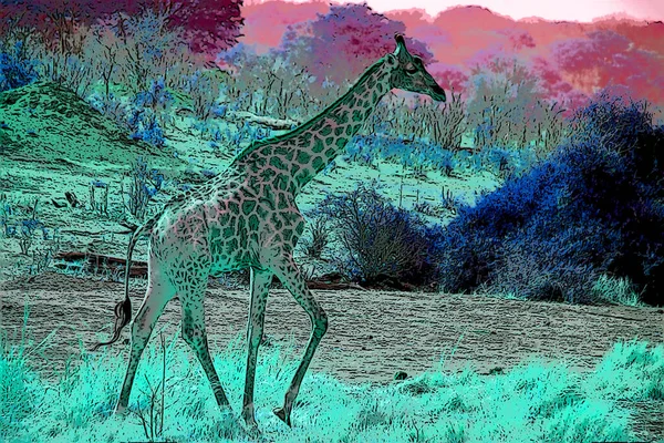 Giraffe illustration pop-art background